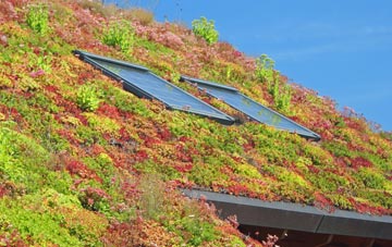 Milton Abbot living roof systems